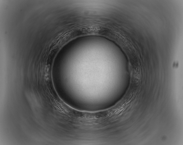 X0000101180818200806271249