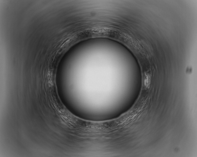 X0000101180819200806271249