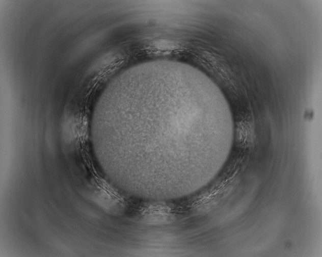 X0000101180820200806271249