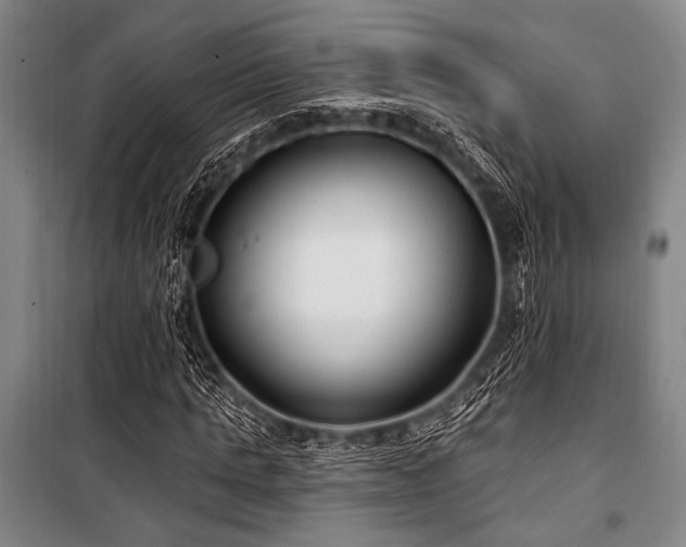 X0000101180821200806271249