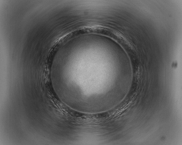 X0000101180822200806271249