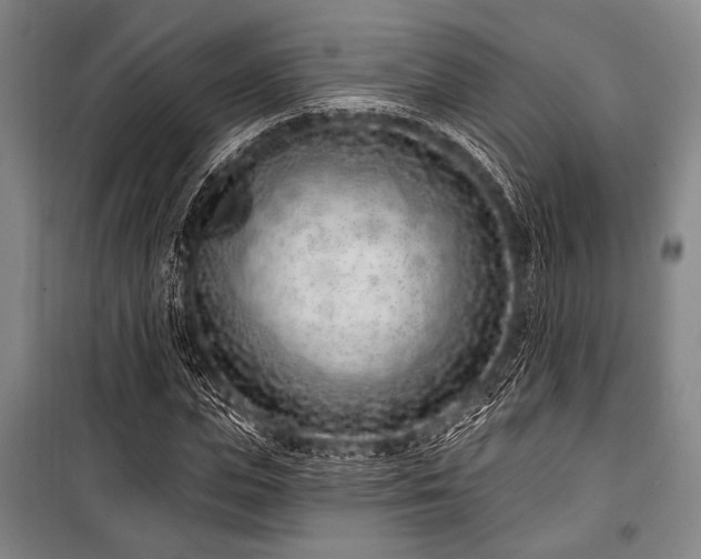 X0000101180823200806271250