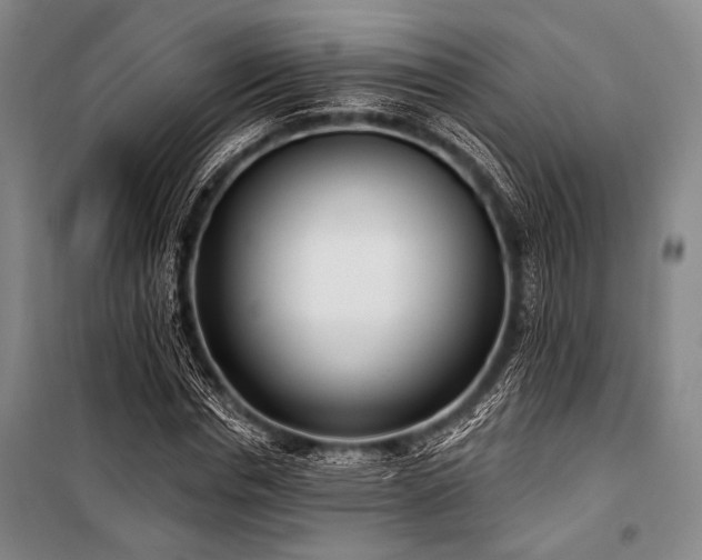 X0000101180826200806271250