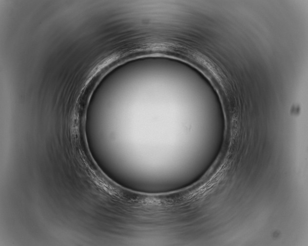 X0000101180827200806271250