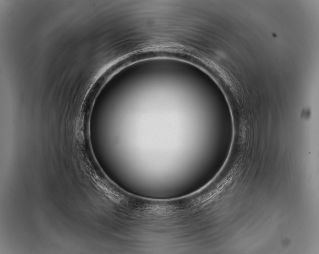 X0000101180830200806271250