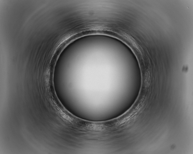X0000101180831200806271250