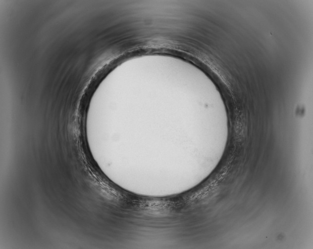 X0000101180832200806271250