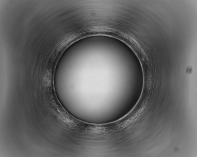 X0000101180833200806271250