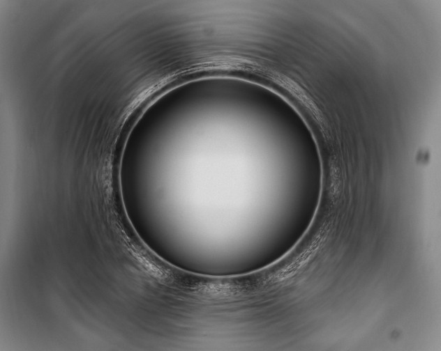 X0000101180834200806271250