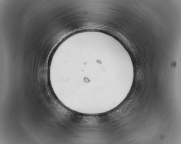 X0000101180836200806271250