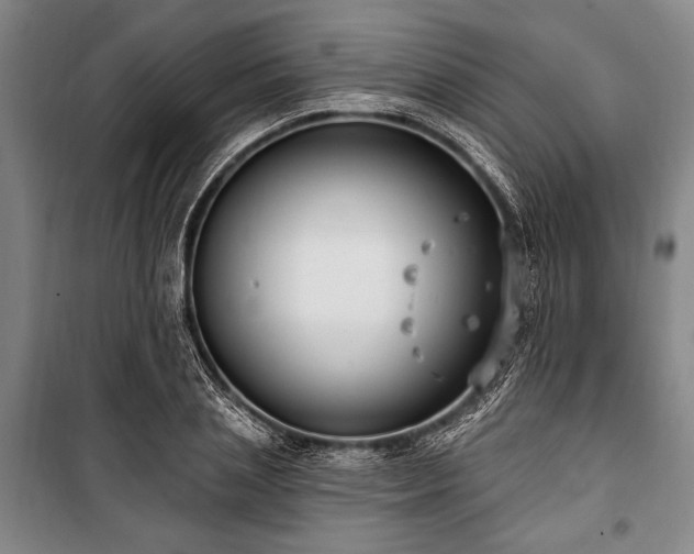 X0000101180837200806271250