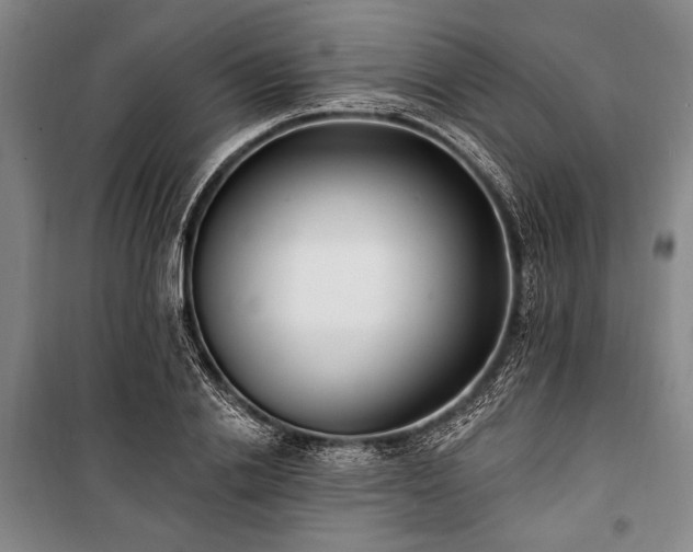 X0000101180838200806271250