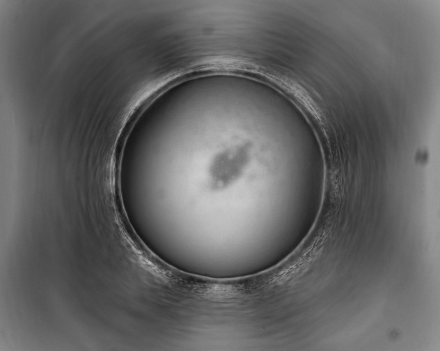 X0000101180839200806271250