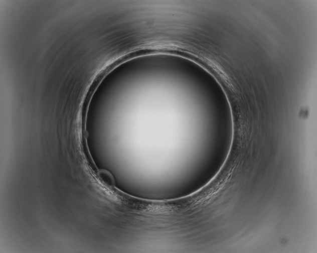 X0000101180840200806271250