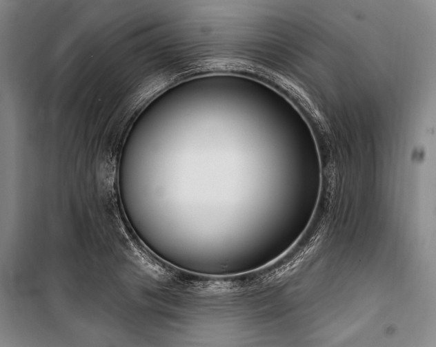 X0000101180841200806271250