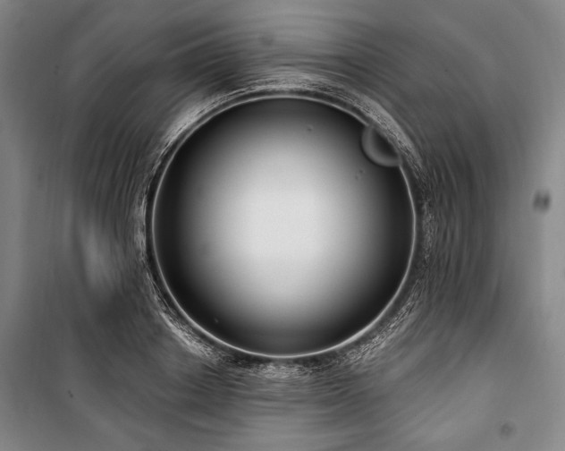 X0000101180842200806271250