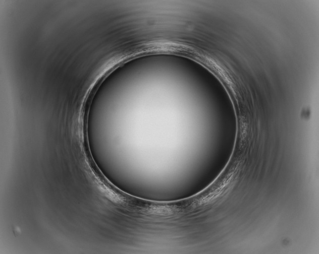 X0000101180843200806271250