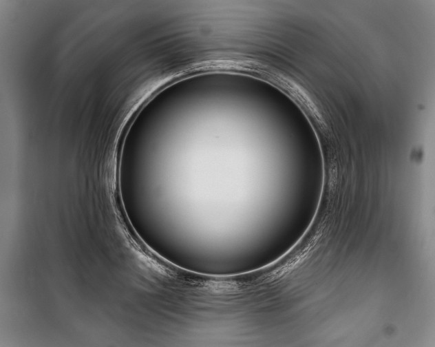 X0000101180844200806271250
