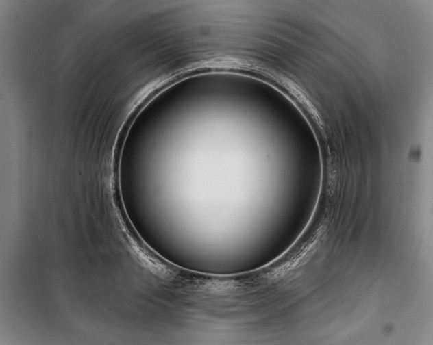 X0000101180845200806271250