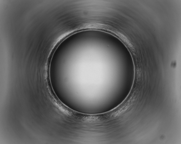 X0000101180846200806271250