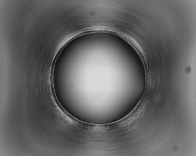 X0000101180847200806271250