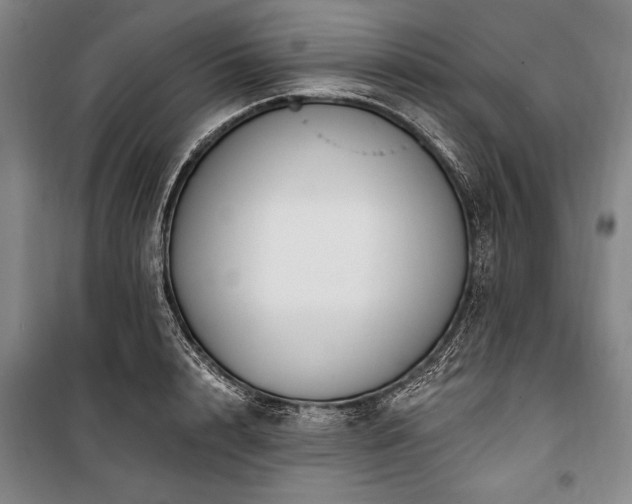 X0000101180848200806271250