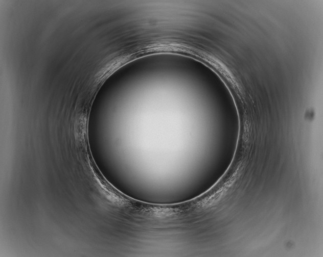 X0000101180849200806271250