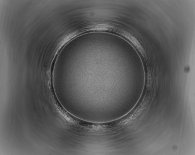 X0000101180850200806271250
