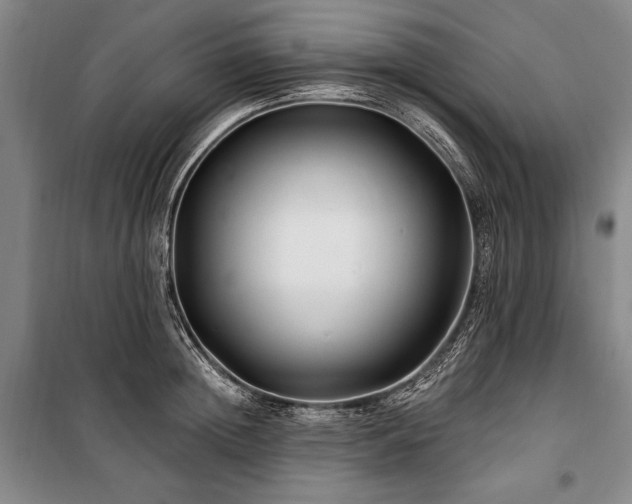 X0000101180852200806271250