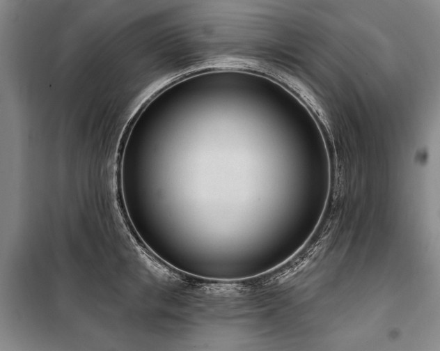 X0000101180853200806271250