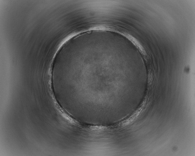X0000101180854200806271250