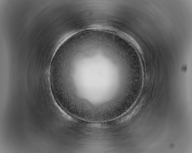 X0000101180855200806271250