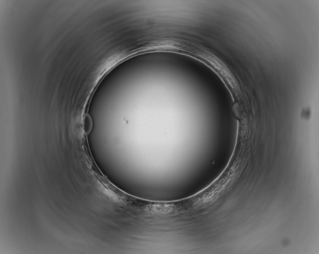 X0000101180858200806271250