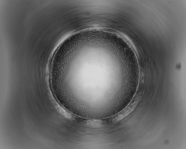 X0000101180859200806271250