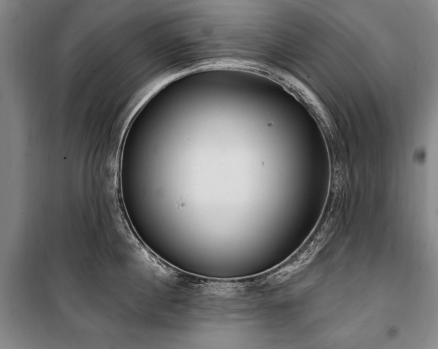 X0000101180860200806271250