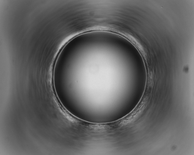 X0000101180862200806271250