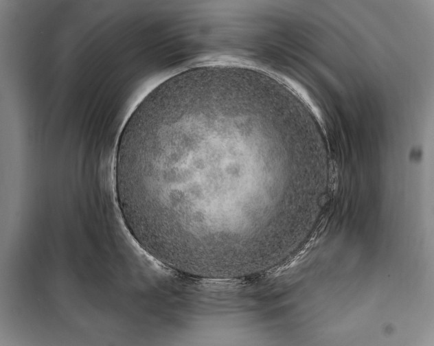 X0000101180863200806271250