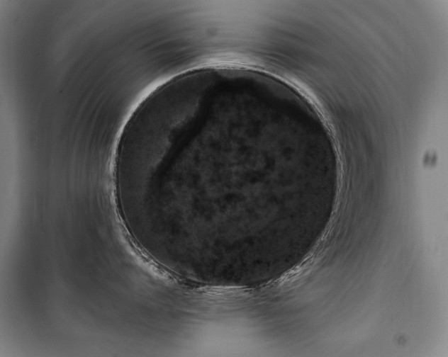 X0000101180864200806271250