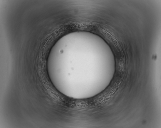 X0000101180865200806271249
