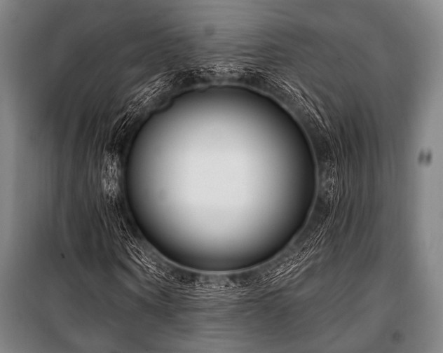 X0000101180866200806271249