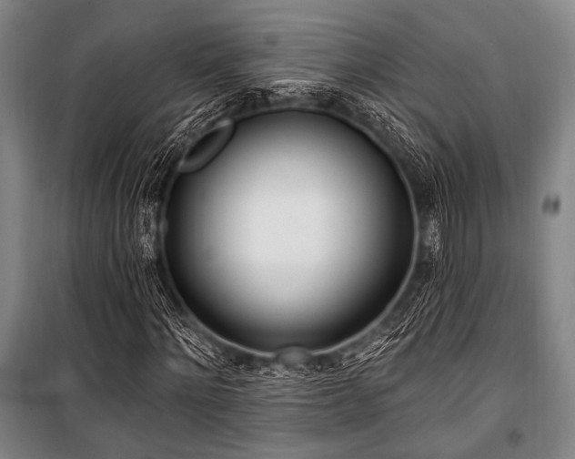 X0000101180868200806271249