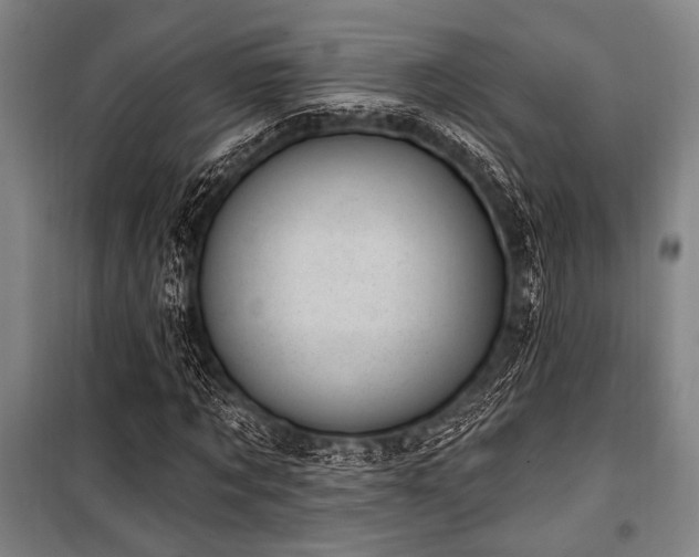 X0000101180869200806271249
