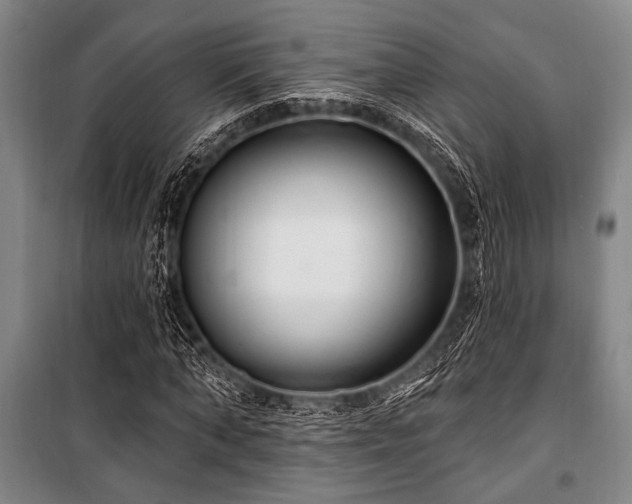 X0000101180870200806271249