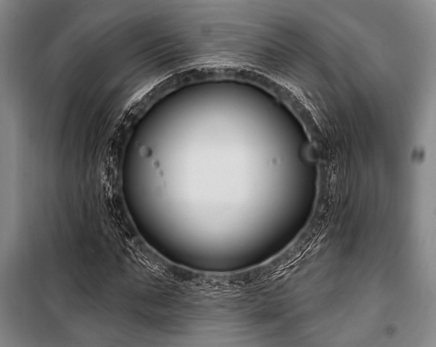 X0000101180871200806271249