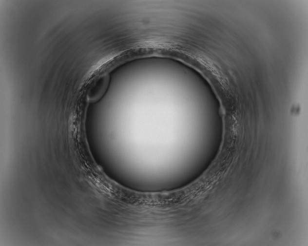 X0000101180872200806271249