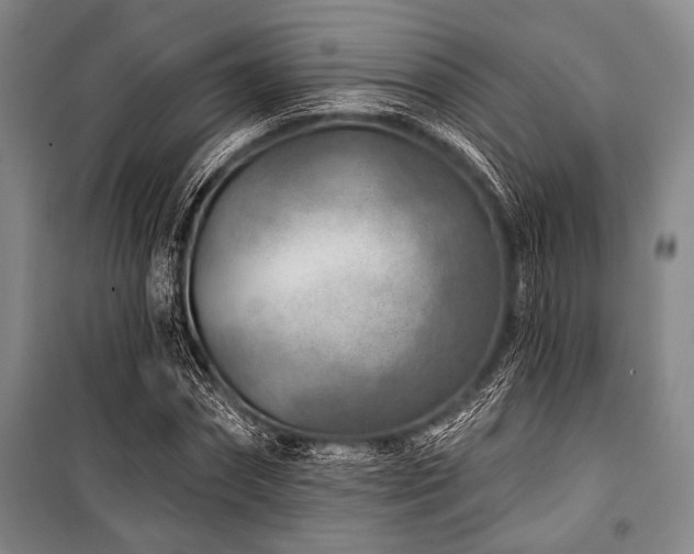 X0000101180874200806271249