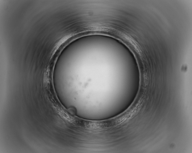X0000101180875200806271249