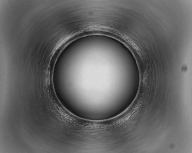 X0000101180877200806271249