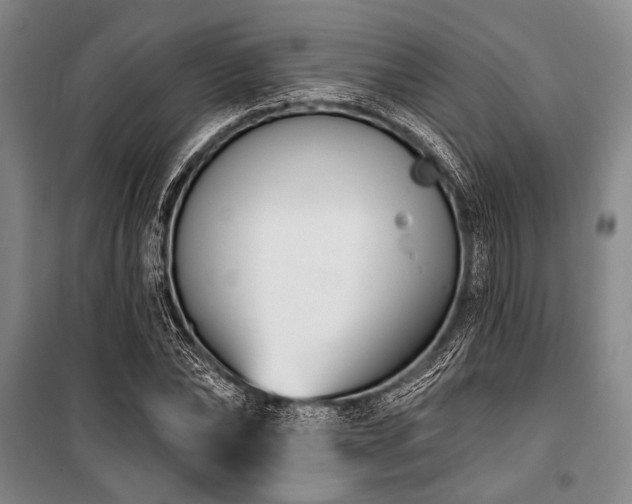X0000101180878200806271249