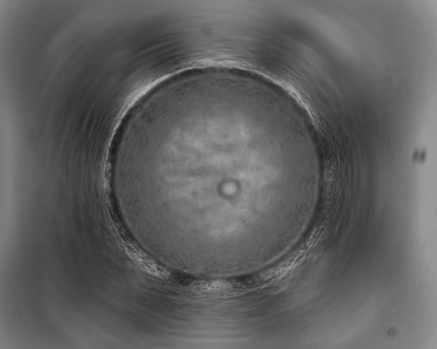X0000101180879200806271249
